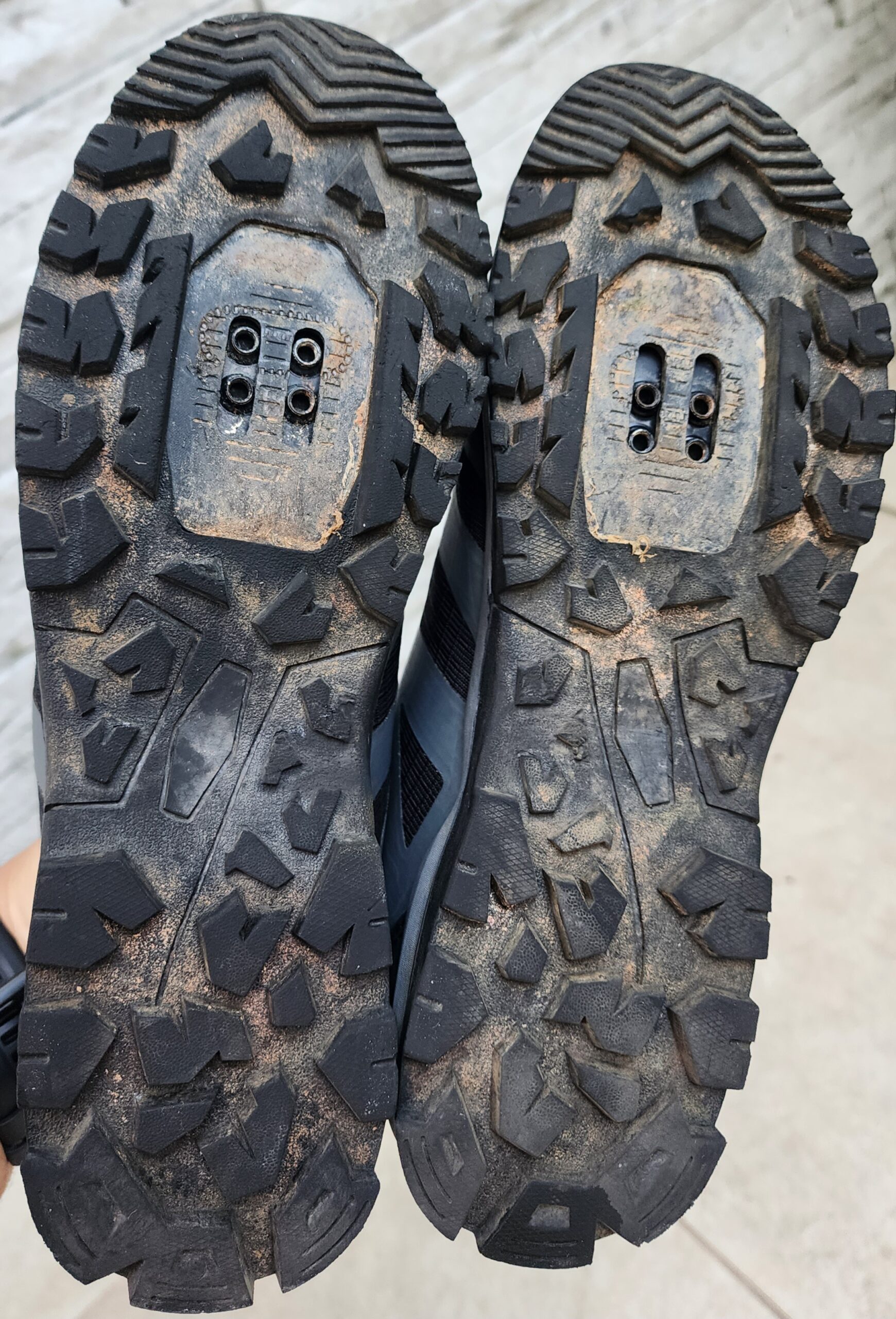 Sapatilha Absolute 40BR