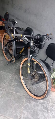 MTB Caloi Elite Carbon Team