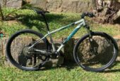 MTB Sense One Tam. 17