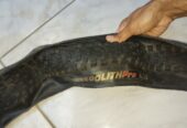 Pneu Tubeless 29 Kenda Regolith