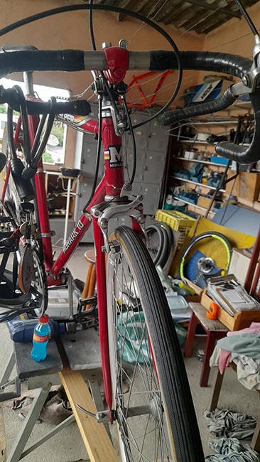 SPEED MONARK 10 ORIGINAL