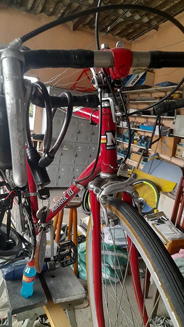 SPEED MONARK 10 ORIGINAL