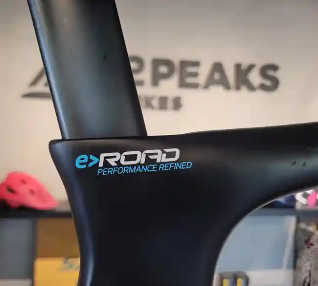 SPEED ASSISTIDA PINARELLO DYODO