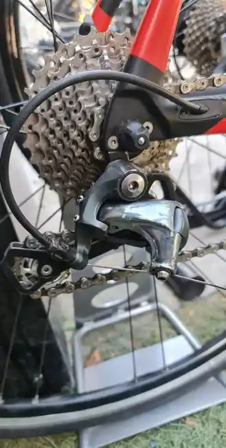SPEED TROPIX PARIS CARBONO
