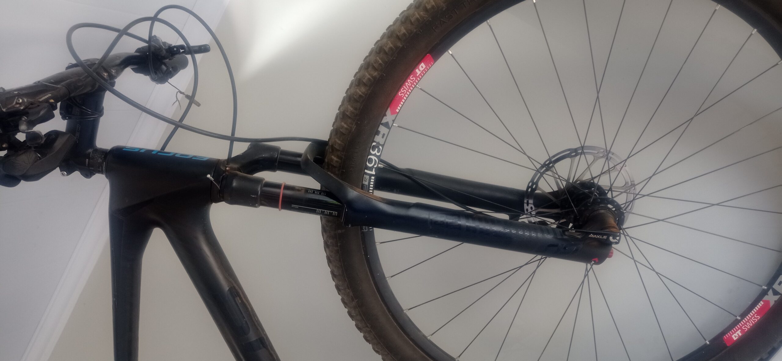 MTB FOCUS RAVEN CARBONO