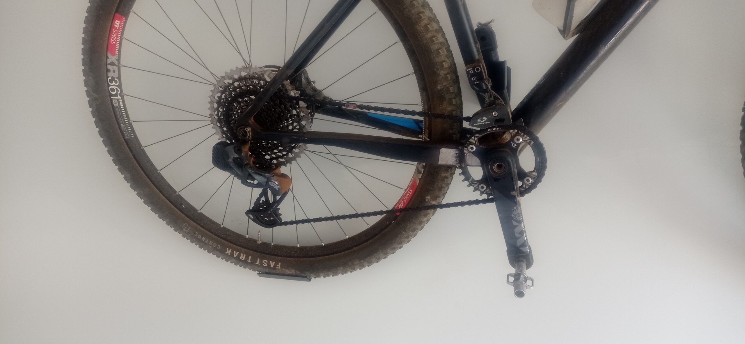 MTB FOCUS RAVEN CARBONO