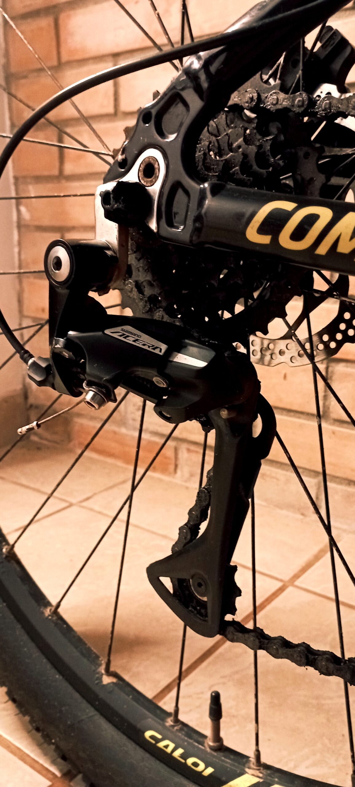 MTB CALOI EXPLORER COMP