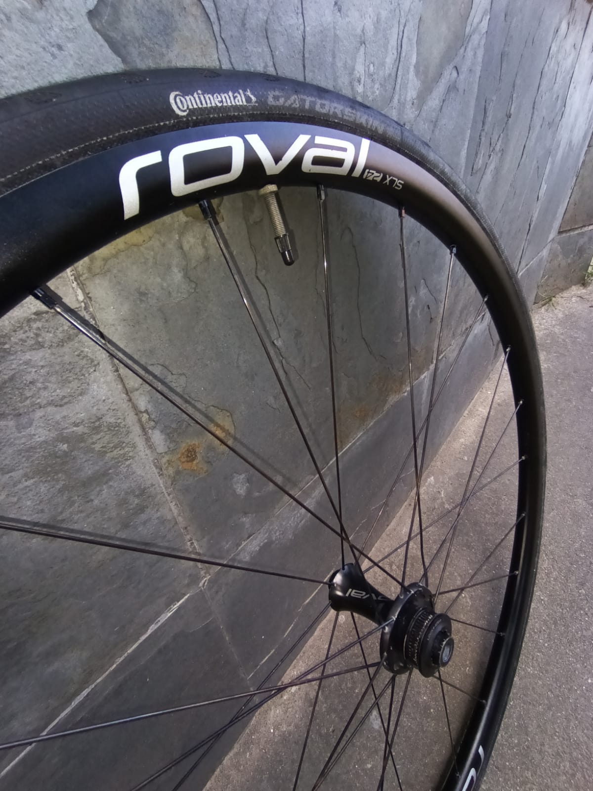 PAR DE RODAS ROVAL SLX 24