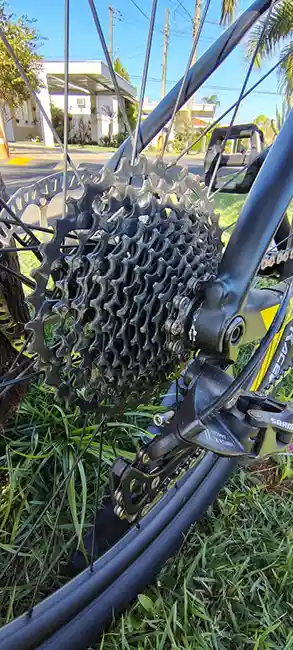 MTB AUDAX AUGE 20 CARBON