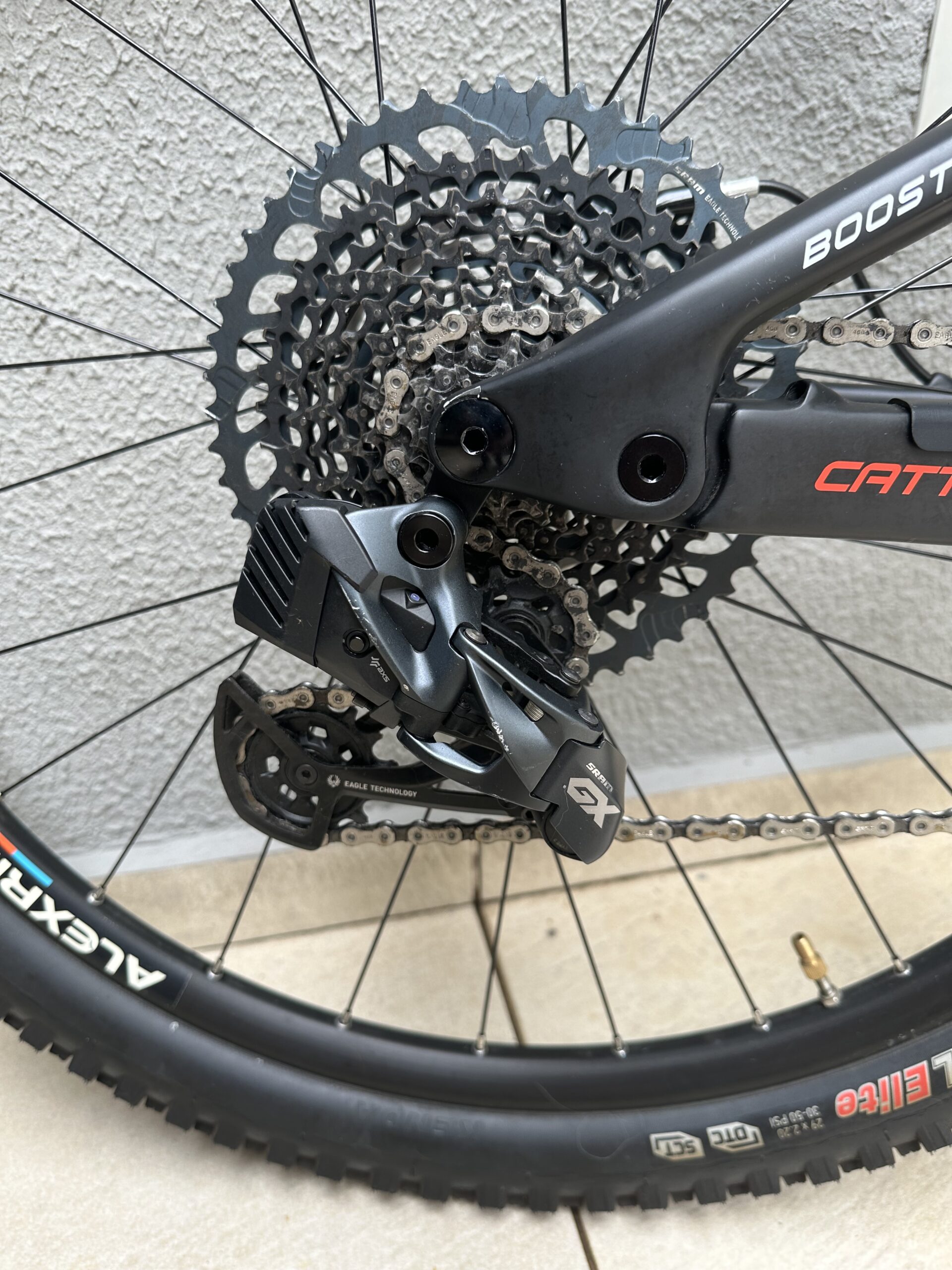 MTB OGGI CATTURA PRO T20