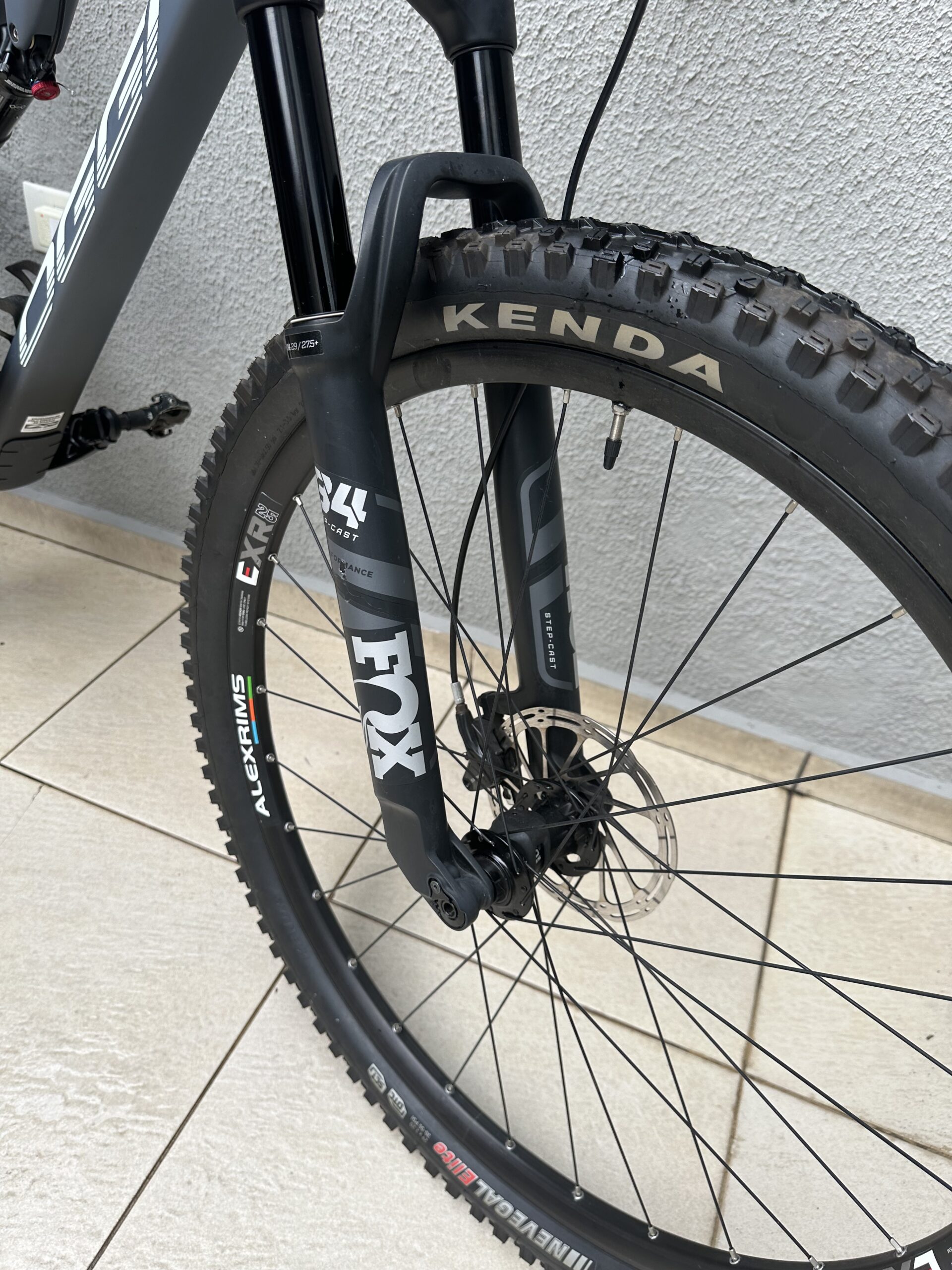 MTB OGGI CATTURA PRO T20