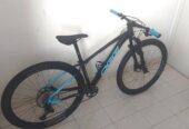 MTB OGGI BIG WHEEL 7.4 2023