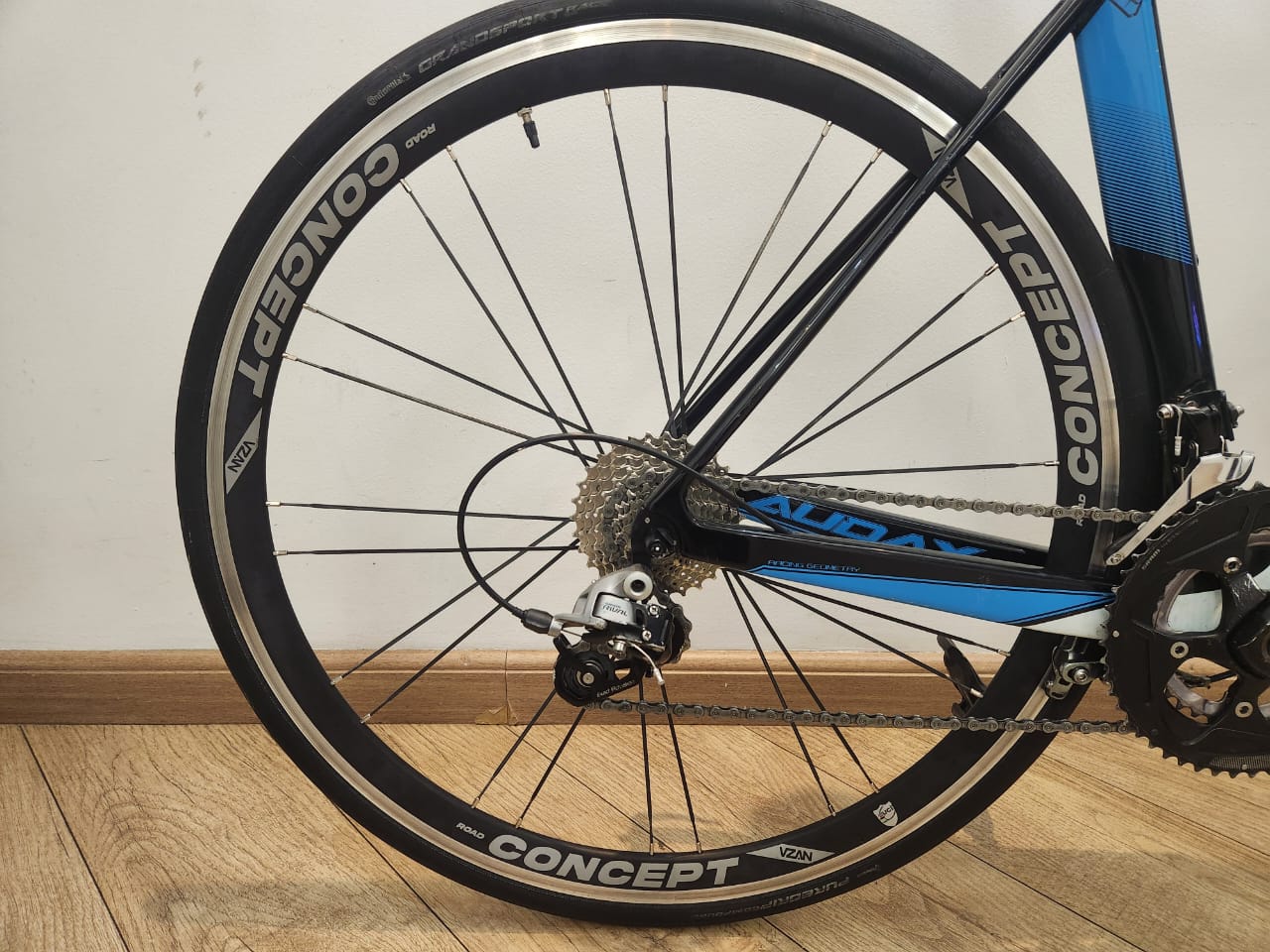 SPEED AUDAX VENTUS S23