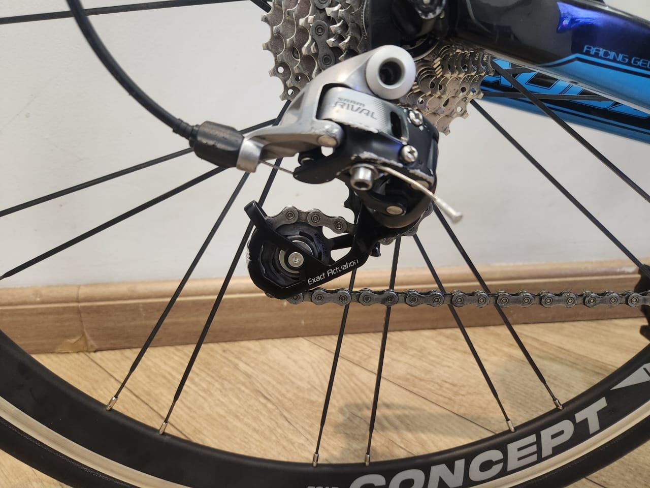 SPEED AUDAX VENTUS S23