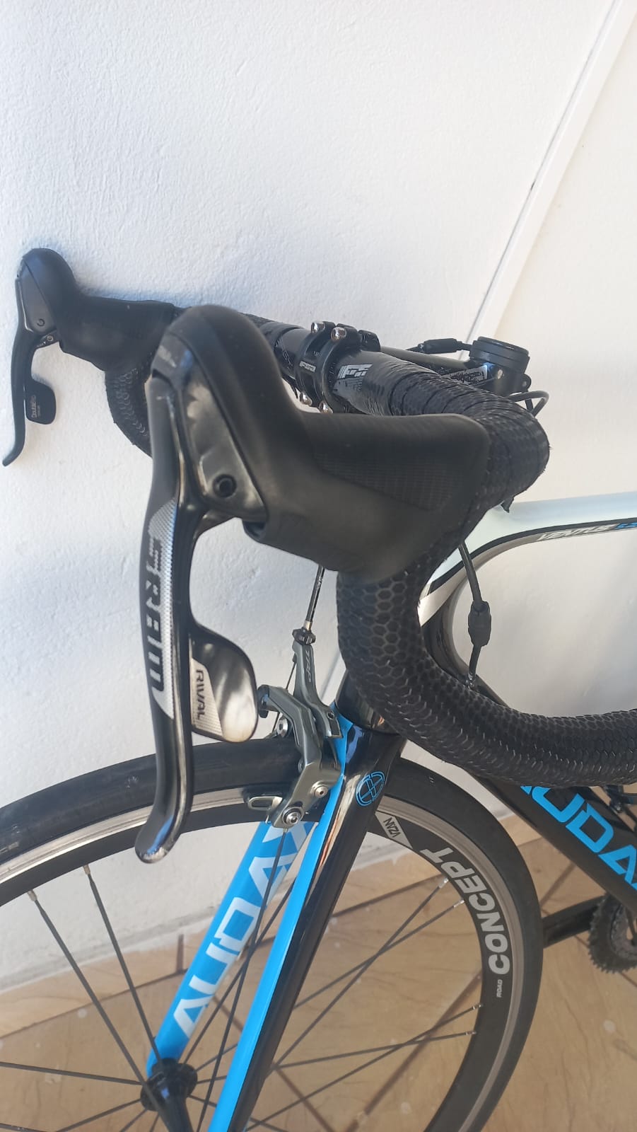 SPEED AUDAX VENTUS S23