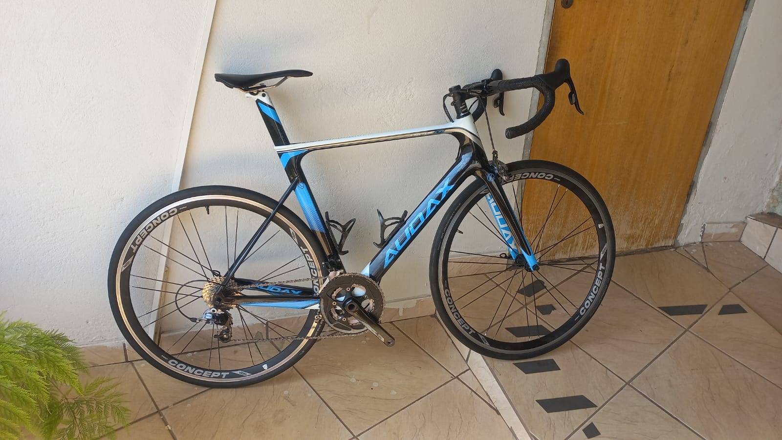 SPEED AUDAX VENTUS S23