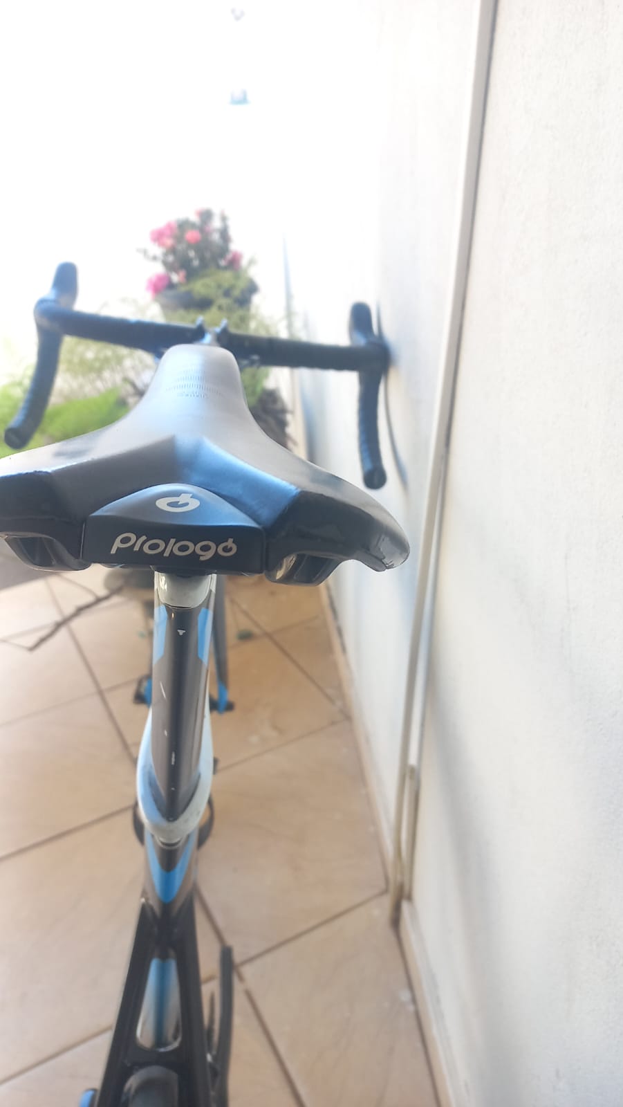 SPEED AUDAX VENTUS S23