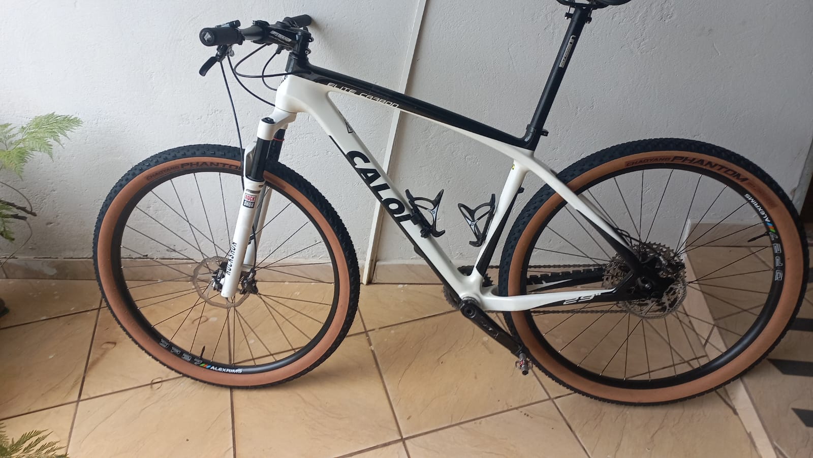 MTB CALOI ELITE CARBON