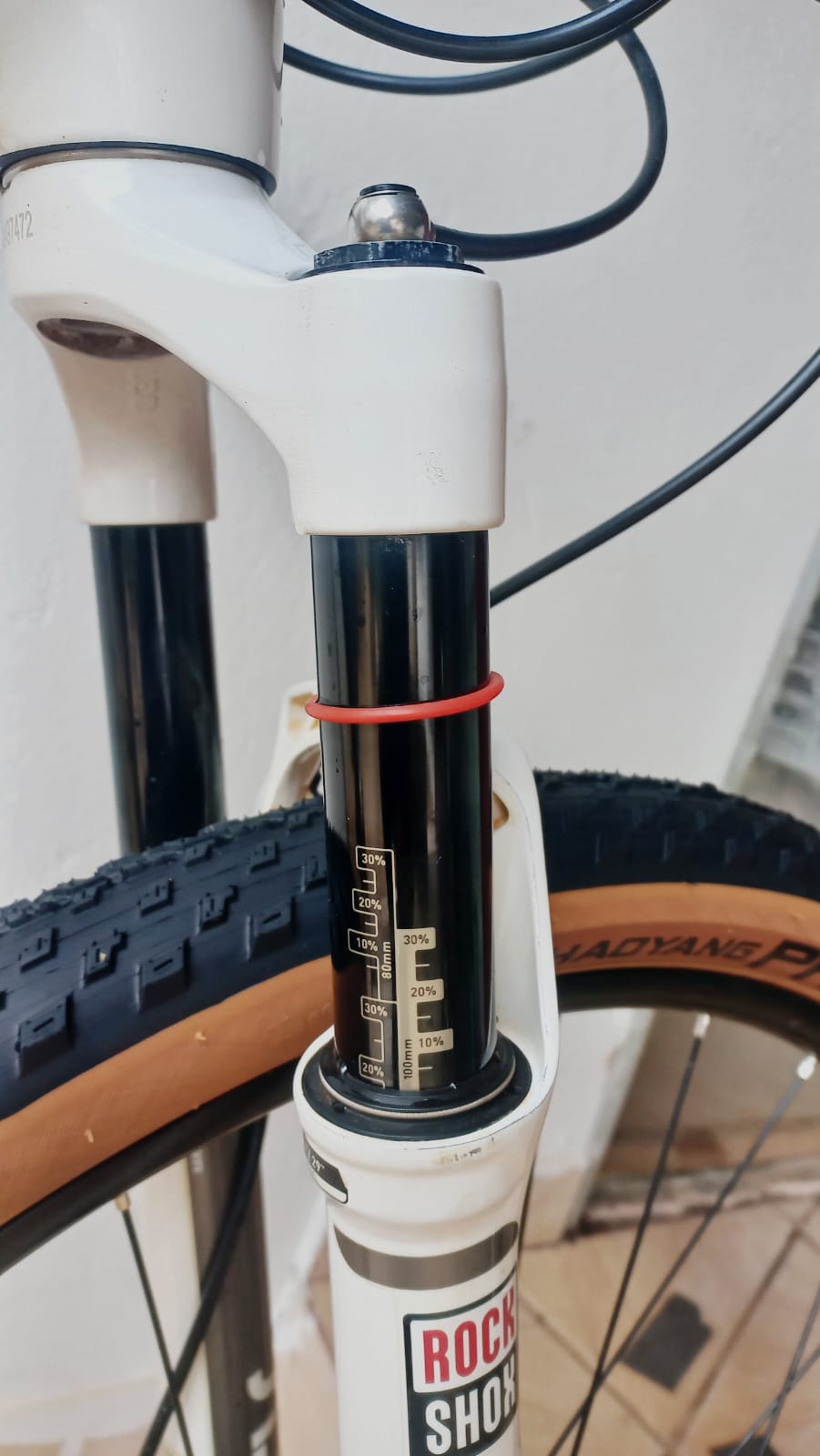 MTB CALOI ELITE CARBON